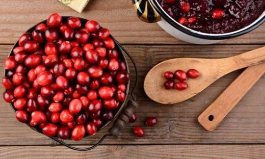 Hamilelikte Kızılcık Yemek Kullanımı ve Faydaları Nelerdir?