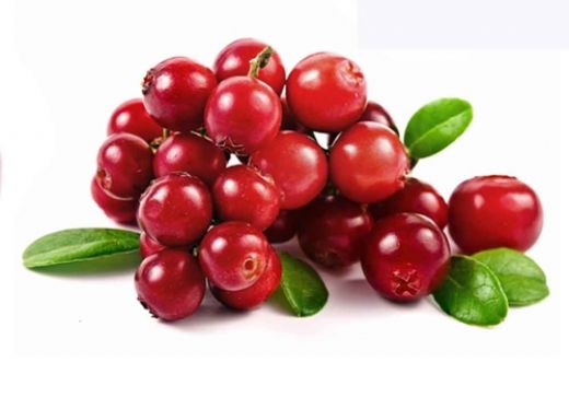 Kızılcık Kullanımı ve Faydaları Nelerdir?