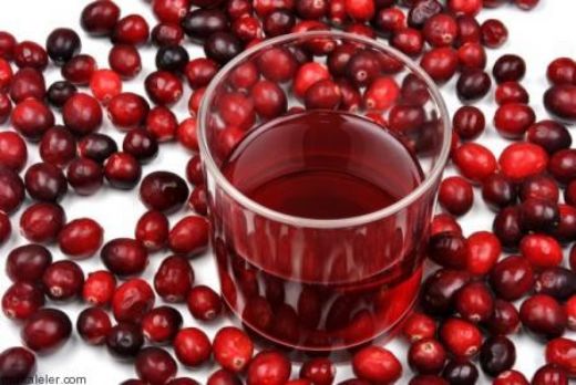 Kızılcık Suyu Nasıl Yapılır?